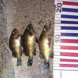 ここに居たのか！