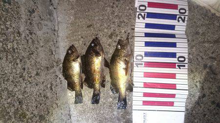 ここに居たのか！