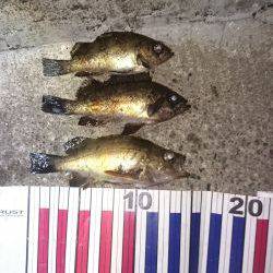 ここに居たのか！