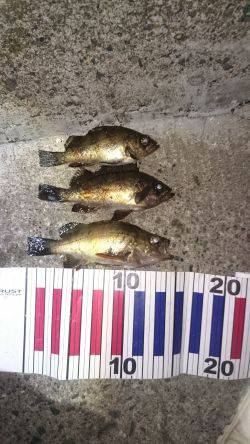 ここに居たのか！