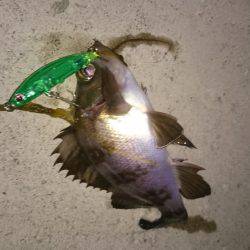 今日も癒されました