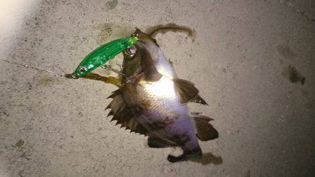 今日も癒されました