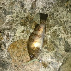 キープできない。