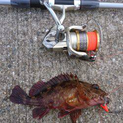 ガシリングからブラクリ