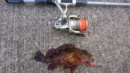 ガシリングからブラクリ