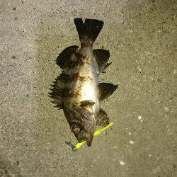 寝ても覚めても