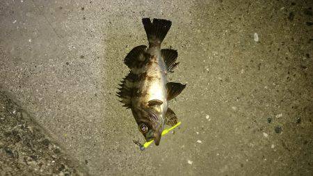 寝ても覚めても