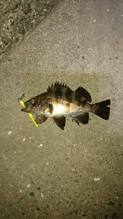 寝ても覚めても