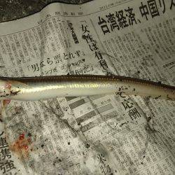 あなごの天ぷらが食べたくて