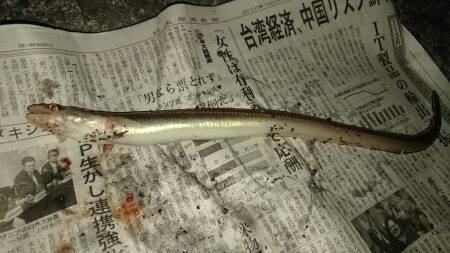 あなごの天ぷらが食べたくて