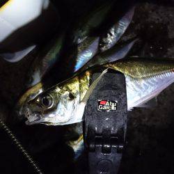 0.2号のアジング