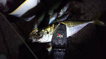 0.2号のアジング