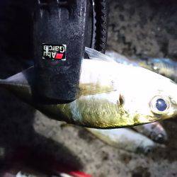 やっぱりアジやねん