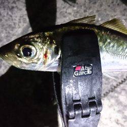 ついに消えたか。