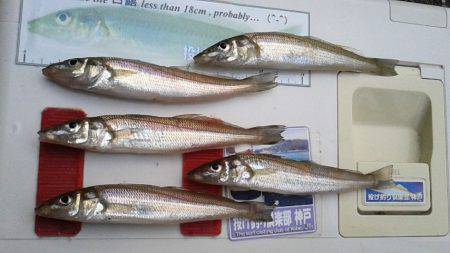 港島北公園で初のキス狙い