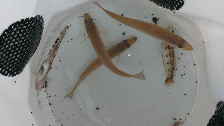 今日はどないや？