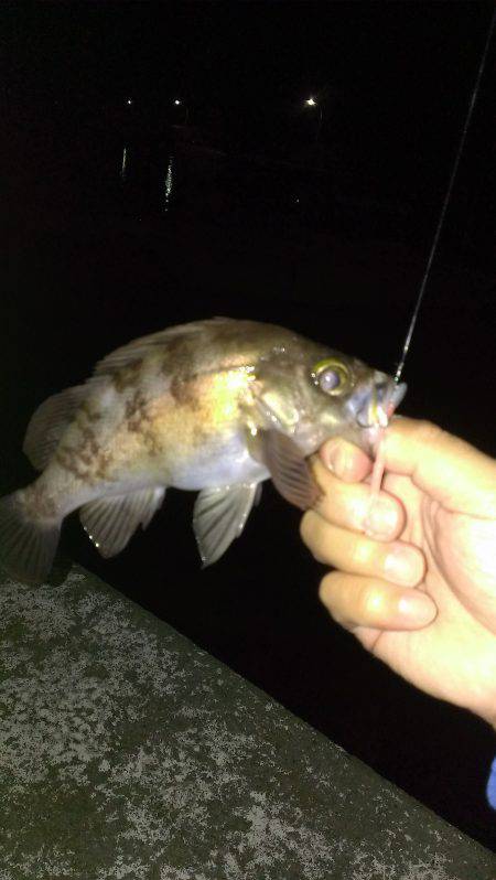 ロッドの入魂式