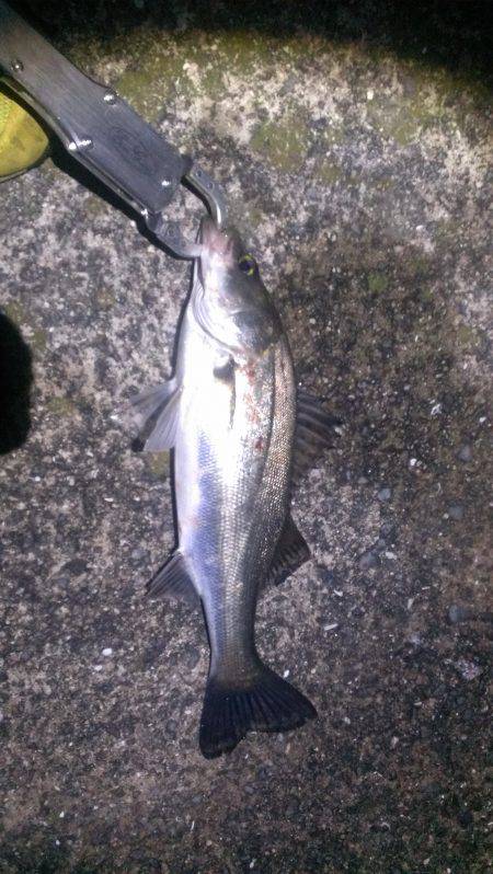 突然活性が上がりました。