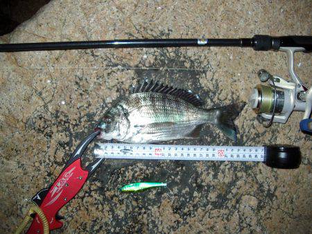 ｼｰﾊﾞｽ修行