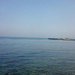 サビキシーズン到来!