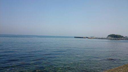 サビキシーズン到来!