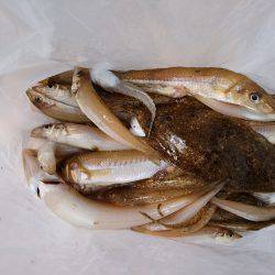 ファミリーフィッシング