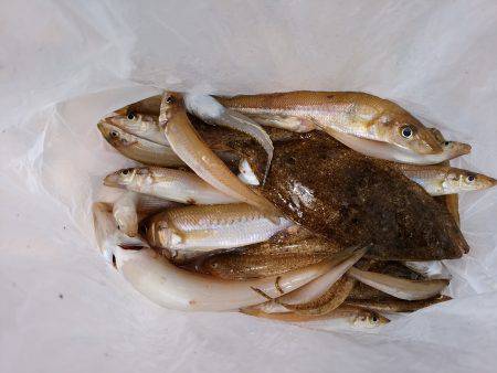 ファミリーフィッシング