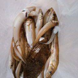 ファミリーフィッシング