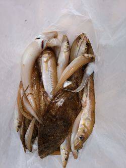 ファミリーフィッシング