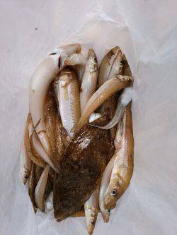 ファミリーフィッシング