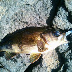 丹後に行って来ました！