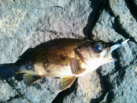 丹後に行って来ました！