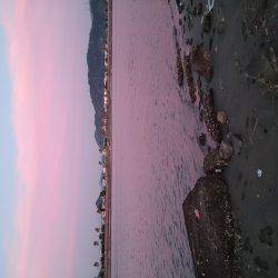 キスが釣りたくて