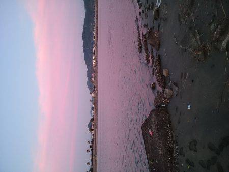 キスが釣りたくて