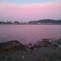 キスが釣りたくて