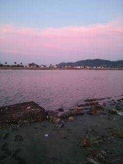 キスが釣りたくて