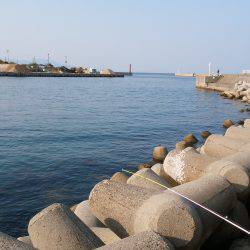 洲本港のテトラで穴釣り