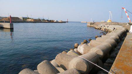 洲本港のテトラで穴釣り