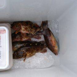 テトラで穴釣り