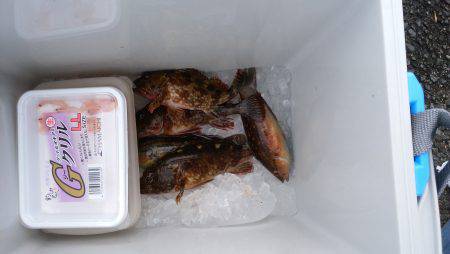 テトラで穴釣り