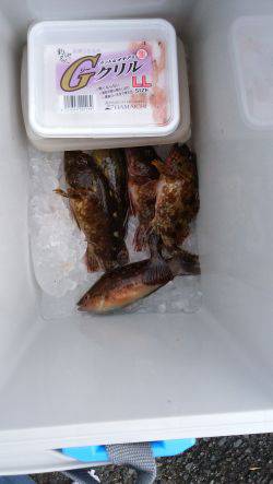 テトラで穴釣り