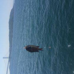 ファミリーフィッシング日和でした