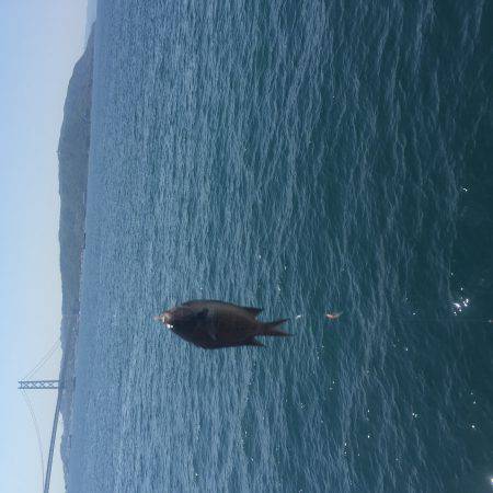 ファミリーフィッシング日和でした