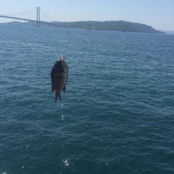 ファミリーフィッシング日和でした