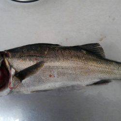 久しぶりのおみやげ(^_^)