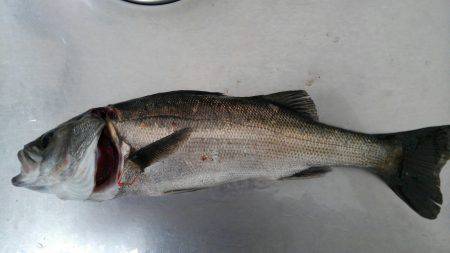 久しぶりのおみやげ(^_^)