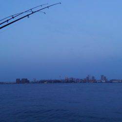 人生最大の釣果！