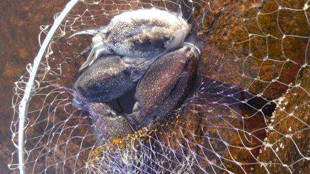 こういかに逢いたくて・