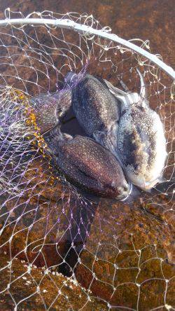 こういかに逢いたくて・