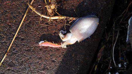 またまた行っちゃいました！